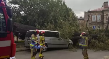 Niebezpiecznie na Poniatowskiego. Drzewo runęło na samochody i kamienicę