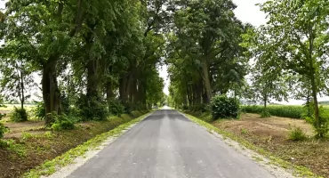 Pielęgnują „płuca” Ziemi [ZDJĘCIA]